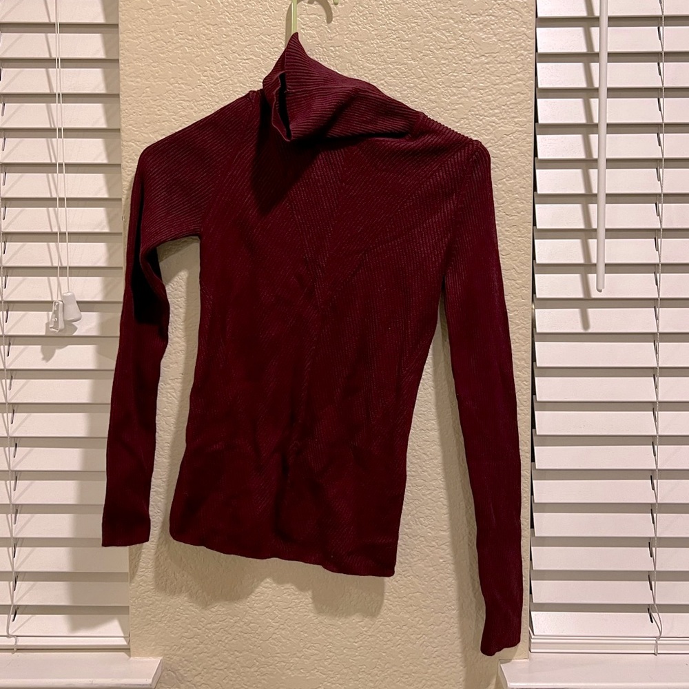 Zara maroon red turtleneck